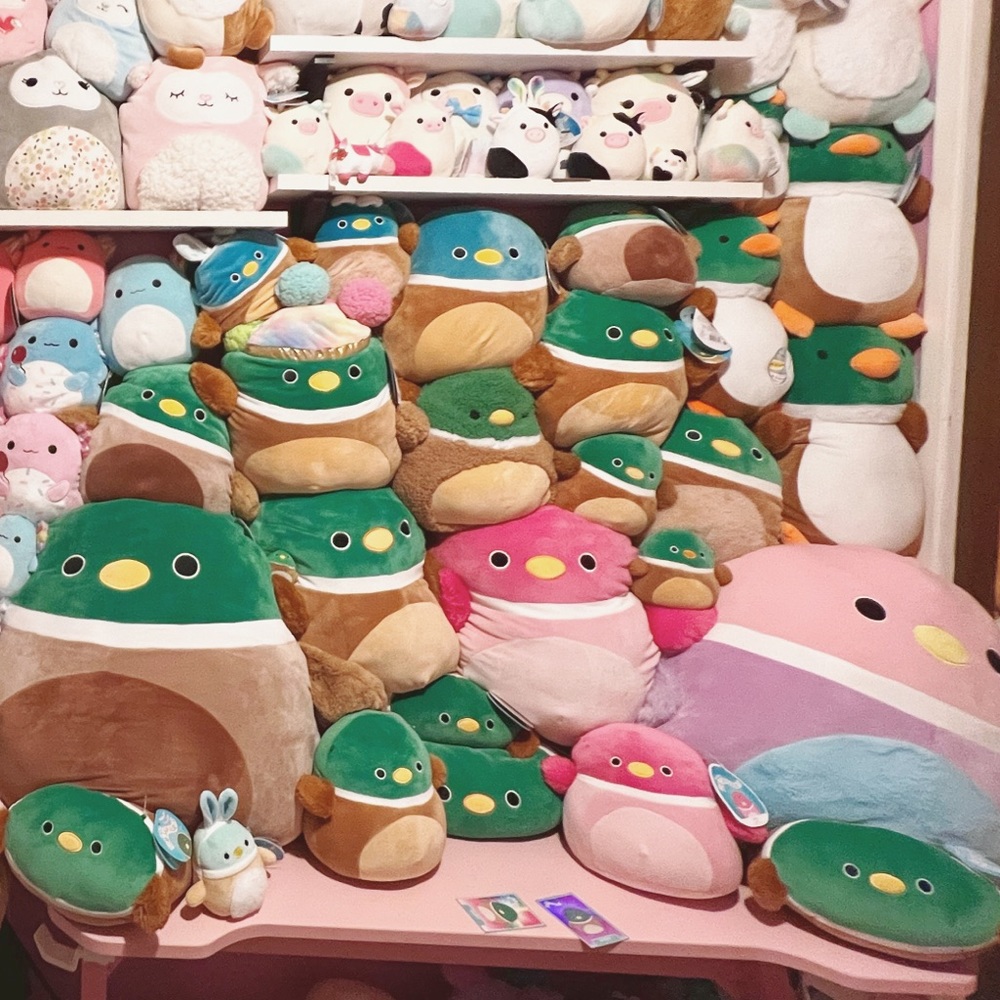 all of my duck squishmallow avery della lillibet daska